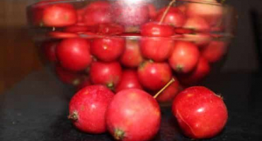 Jednoduchý recept na průhlednou marmeládu z ranetki s ocáskem na zimu